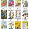 Safe-Era industrial chemical safety posters collage featuring 12 posters (codes CSP-1 to CSP-12). This collection covers essential safety topics including solvent handling, spill prevention, chemical storage guidelines, PPE usage, and chemical safety procedures for workplaces.