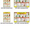 Safe-Era electric shock treatment safety posters (codes ESP-33A to 34B). Features comprehensive electrical shock treatment charts available in portrait and landscape formats, with safety instructions provided in Hindi and Marathi.