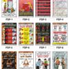 Safe-Era fire safety posters collection (codes FSP-1 to 12). A 12-poster collage featuring English and Hindi safety instructions, including the PASS method for fire extinguishers, fire triangle awareness, fire exit path maintenance, and regular inspection of fire safety equipment.