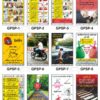 Safe-Era General Public Safety poster collection (GPSP-1 to 12) featuring a collage of 12 bilingual (Hindi & English) posters. Topics include: child safety, LPG cylinder usage, gas leak prevention, seat belt and helmet compliance, mobile-free driving, hazards of plastic bags, water and electricity conservation, speed limit adherence, and traffic rule awareness.