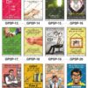 Safe-Era General Public Safety poster collection (GPSP-13 to 24) featuring a collage of 12 bilingual (Hindi & English) posters focused on behavioral and emotional safety. Topics include: anti-drunk driving, family road safety awareness, stress management, anger regulation, family wellness, and maintaining a positive mindset.