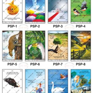 Safe-Era Pictorial Safety poster collection (PSP-1 to 12) featuring a collage of 12 bilingual (Hindi & English) posters. Each poster uses high-impact thematic imagery to convey safety messages. Topics include: maintaining safety and quality standards, the role of teamwork, safety as a lifetime commitment, pre-start safety awareness, accident prevention through vigilance, environmental protection, combining willpower with safety skills, and the importance of family well-being in workplace safety.