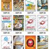 Safe-Era Quality Safety poster collection (QSP-25 to 36) featuring a collage of 12 bilingual (Hindi & English) posters. Topics include: preventing quality degradation through proper storage, welcoming quality audits, the link between quality and business viability, and quality as a demonstration of corporate care and commitment to zero defects.